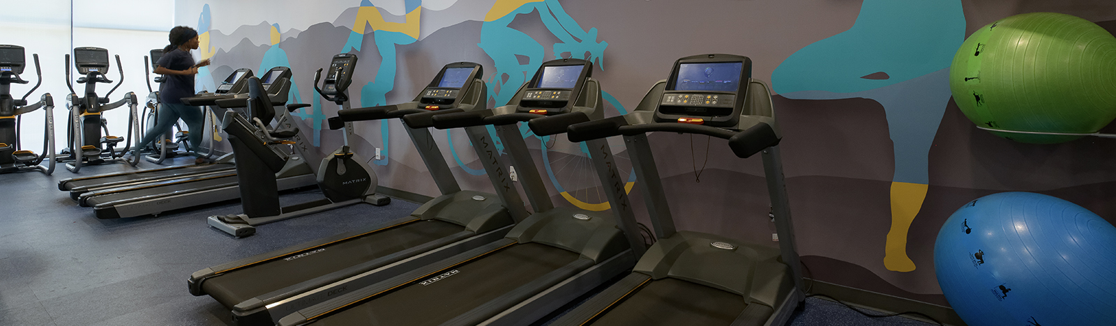 Row of treadmills